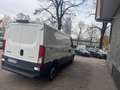 Iveco Daily ANNO 2022 BENZINA METANO euro 6e bijela - thumbnail 9
