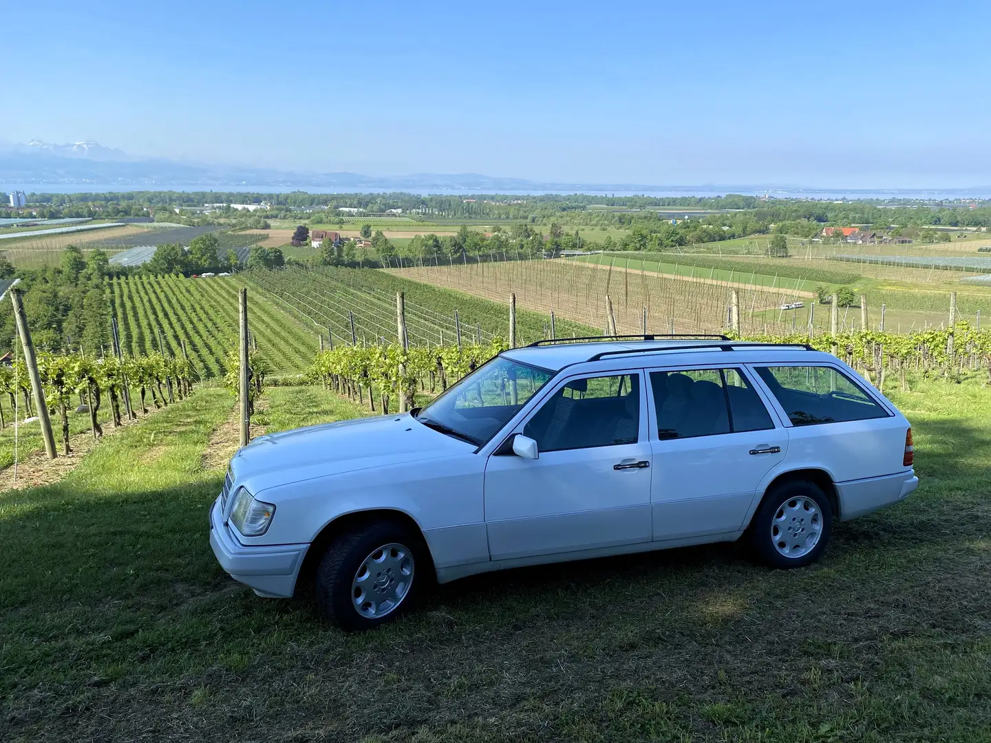 Mercedes-Benz E 220 E-Klasse T Bianco - 1