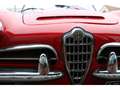 Alfa Romeo Giulia Gulia Spyder 1600 Rot - thumbnail 24