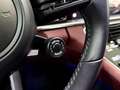 Porsche Panamera 4 E-Hybrid Platinum Edition Grau - thumbnail 30