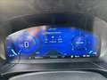 Ford Kuga 2.0 ecoblue ST-Line 2wd 120cv auto Grigio - thumbnail 11