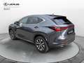 Lexus NX 300 Hybrid Premium 4WD MY22 Gris - thumbnail 2