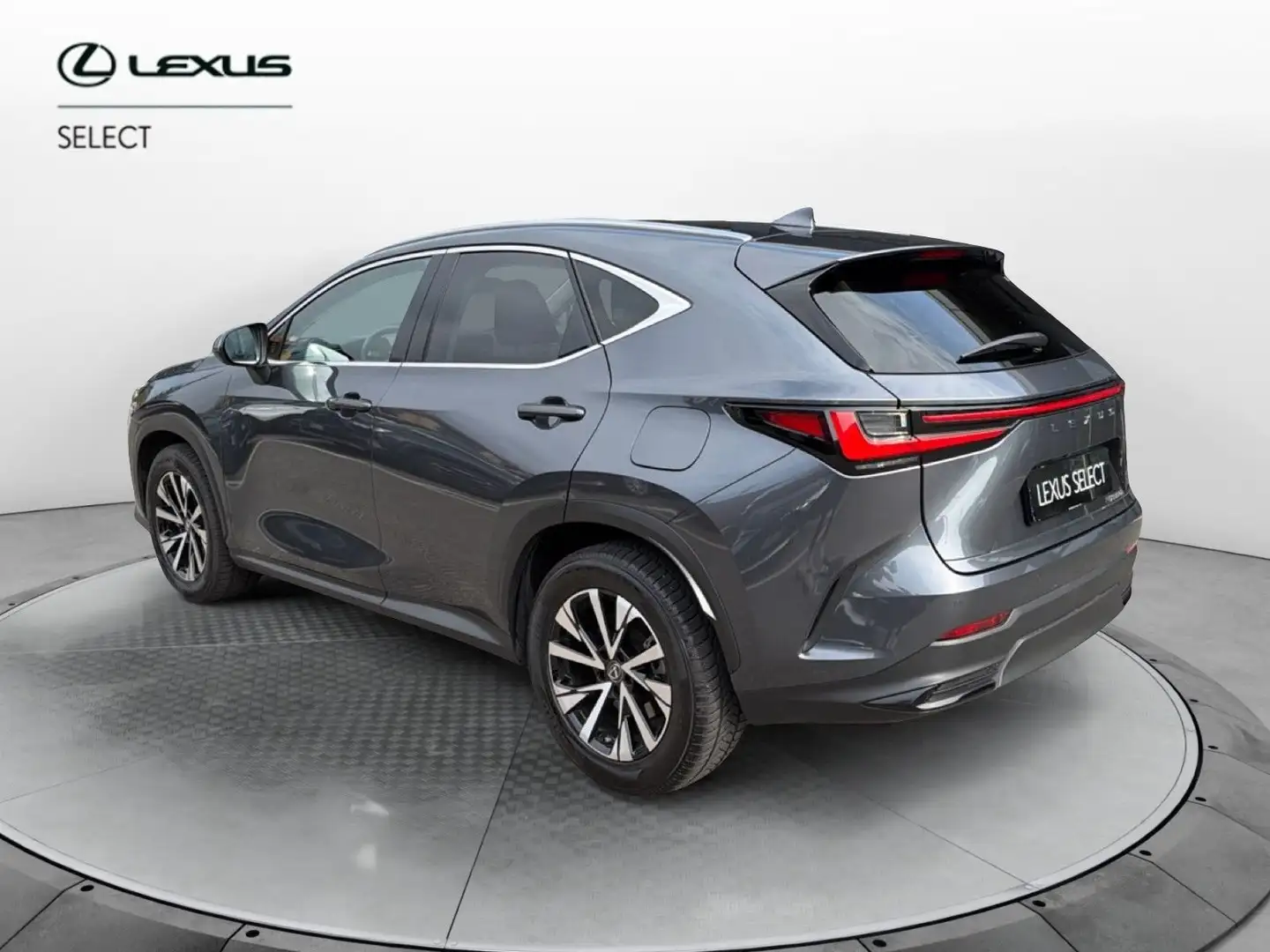 Lexus NX 300 Hybrid Premium 4WD MY22 Gris - 2