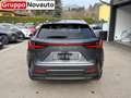 Lexus NX 300 Hybrid Premium 4WD MY22 Gris - thumbnail 5