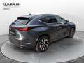 Lexus NX 300 Hybrid Premium 4WD MY22 Gris - thumbnail 4