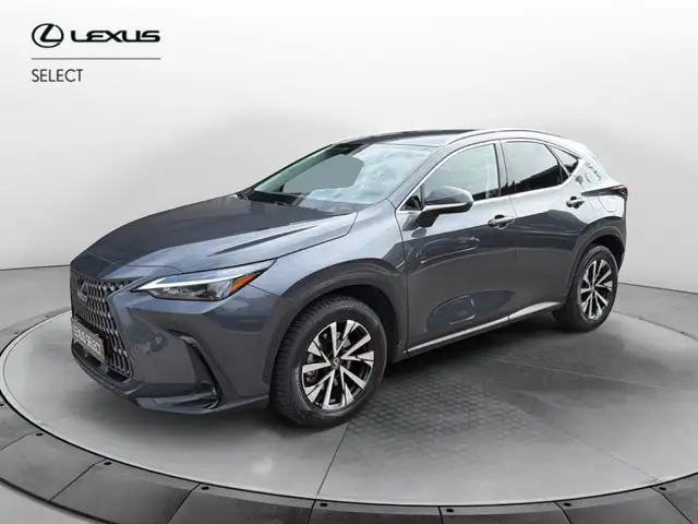 Lexus NX 300