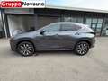 Lexus NX 300 Hybrid Premium 4WD MY22 Gris - thumbnail 8