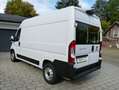 Fiat Ducato L2H2[MOTOR NEU/1. HAND/GARANTIE/AUTOM.] Blanc - thumbnail 6