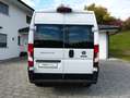 Fiat Ducato L2H2[MOTOR NEU/1. HAND/GARANTIE/AUTOM.] Blanc - thumbnail 7