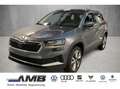 Skoda Karoq Selection 1.0 TSI LED/ACC/Sitzhz/SmartLink Grau - thumbnail 1