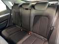 Audi Q5 SPB 40 TDI quattro S tronic Business Advanced Bianco - thumbnail 14