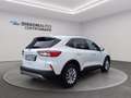 Ford Kuga 1.5 EcoBlue 120 CV 2WD Titanium Business Bianco - thumbnail 5