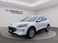 Ford Kuga 1.5 EcoBlue 120 CV 2WD Titanium Business Bianco - thumbnail 1
