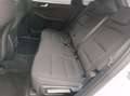 Ford Kuga 1.5 EcoBlue 120 CV 2WD Titanium Business Bianco - thumbnail 10