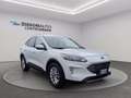 Ford Kuga 1.5 EcoBlue 120 CV 2WD Titanium Business Bianco - thumbnail 15