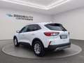 Ford Kuga 1.5 EcoBlue 120 CV 2WD Titanium Business Bianco - thumbnail 3