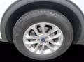 Ford Kuga 1.5 EcoBlue 120 CV 2WD Titanium Business Bianco - thumbnail 13