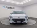 Ford Kuga 1.5 EcoBlue 120 CV 2WD Titanium Business Bianco - thumbnail 7