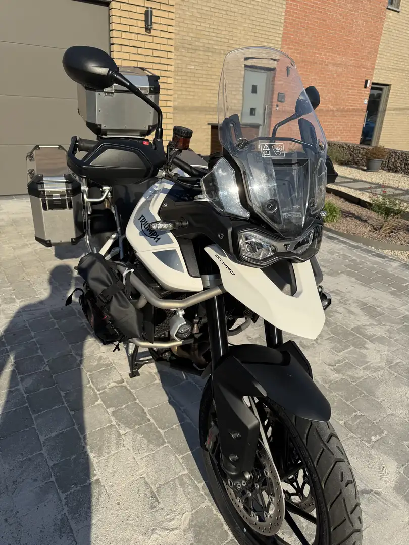 Triumph Tiger 900 GT PRO - 2