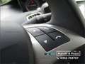 Lancia Ypsilon 1.0 FireFly 5 porte S&S Hybryd Gold Nero - thumbnail 19