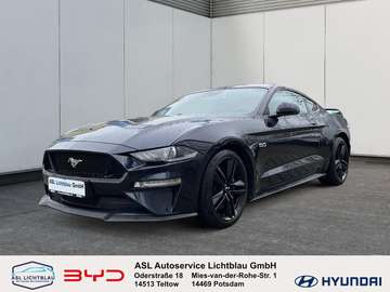 5.0 Ti-VCT V8 Fastback GT 5.0