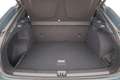 CUPRA Terramar 2.0 TSI DSG 4Drive, Standheizung, AHK, AreaView, s Albastru - thumbnail 13