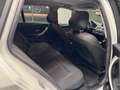 BMW 316 Touring Sport Bianco - thumbnail 13