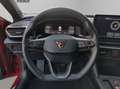 CUPRA Sonstige 2.0 TSI 140kW (190CV) DSG Rot - thumbnail 19
