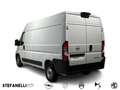 Opel Movano 35 2.2 BlueHDi 140 S&S PM-TM Furgone Bianco - thumbnail 5