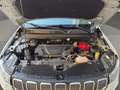 Jeep Compass 1.6 Multijet 130cv 2WD Limited Argento - thumbnail 25