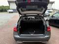 Mercedes-Benz C 220 C -Klasse 220d*Navi*Shz*Ahk*Pano*Tempo*Alu** Gris - thumbnail 18