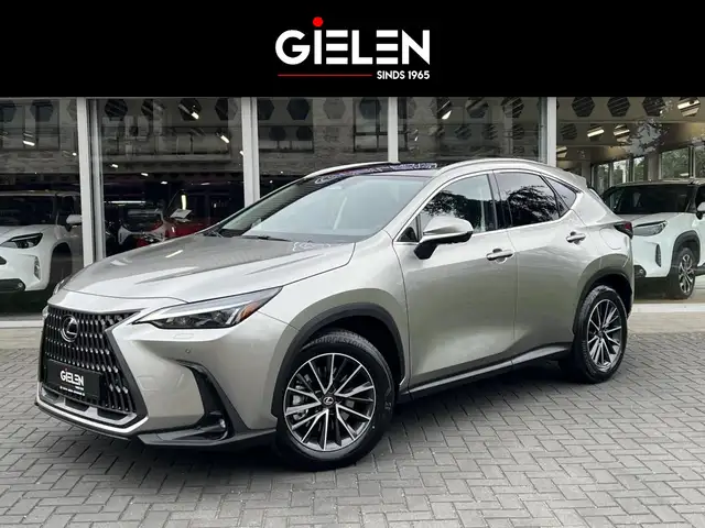Lexus NX 450h+ Executive Line | Panoramadak, Head up display, 18