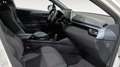 Toyota C-HR BERLINA CON PORTON 2.0 VVT I-HYBRID ADVANCE AUTO 1 Alb - thumbnail 6