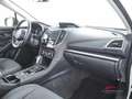 Subaru XV 1.6i Lineartronic Premium Bianco - thumbnail 12