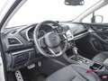 Subaru XV 1.6i Lineartronic Premium Bianco - thumbnail 8