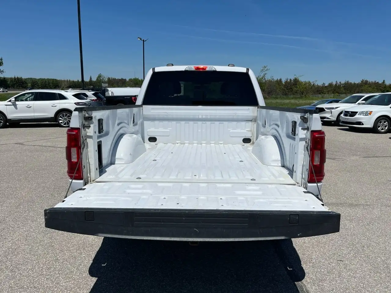 Ford F 150 fotografie Ford F 150