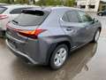 Lexus UX 250h 2.0i FWD Executive Line Gris - thumbnail 2