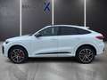Audi Q5 TDI SPORTBACK /S-LINE/Sofort Weiß - thumbnail 8