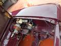 Alfa Romeo 2000 AR Giulia ti 1,3 - thumbnail 14