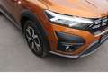 Dacia Sandero Stepway Expression+ Navi Scheckheft Bronze - thumbnail 23