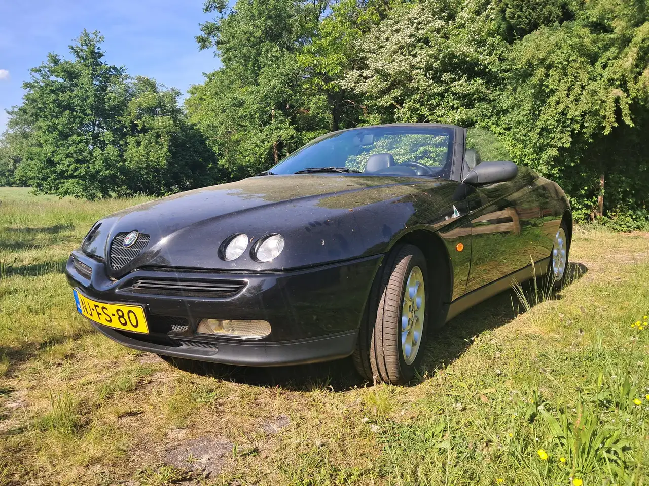 Alfa Romeo Spider 2.0-16V, foto 1