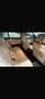 BMW 530 530d Touring xdrive Luxury 249cv auto E6 Nero - thumbnail 4