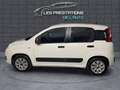 Fiat Panda III 1.2 8v 69ch Pop Blanc - thumbnail 8