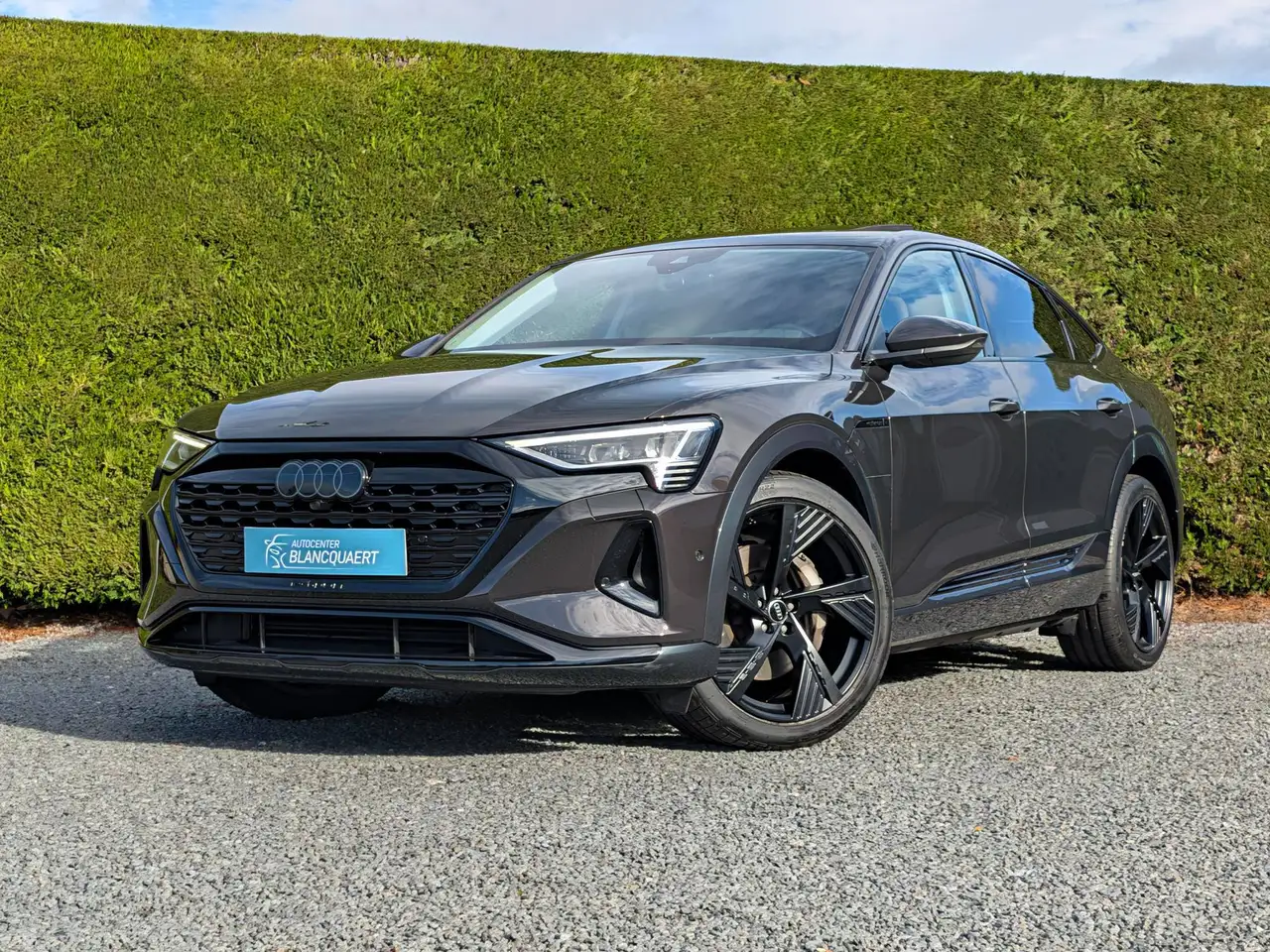 Audi Q8 e-tron