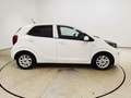 Kia Picanto 1.0 Dream Team Klima|SHZ Weiß - thumbnail 24