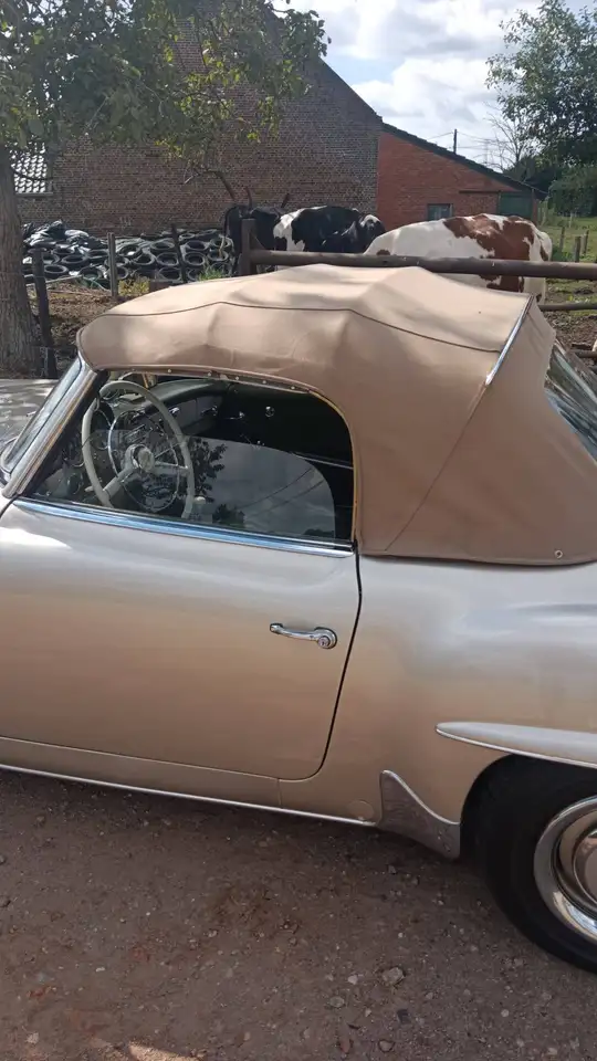 Mercedes-Benz 190 sl 190, foto 6