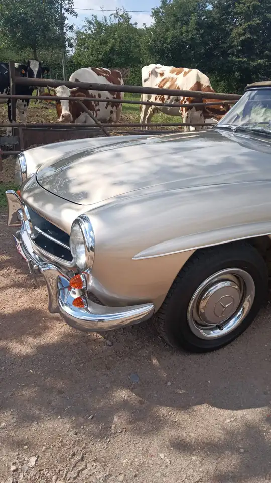 Mercedes-Benz 190 sl 190, foto 4