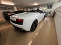 Lamborghini Gallardo LP560-4 E-Gear Spyder Weiß - thumbnail 15