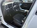 Mercedes-Benz GLC 300 GLC 300 4Matic Mild Hybrid AMG Line Advanced Bianco - thumbnail 13