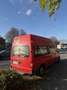 Ford Transit Bus Motorschaden, Behindertengerecht, AMF Bruns Umbau Червоний - thumbnail 4